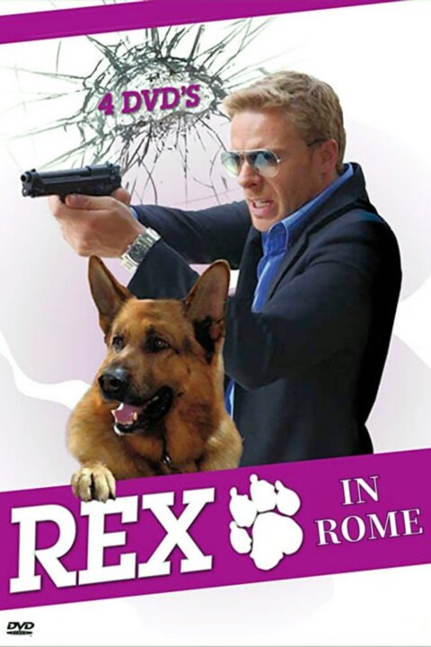 Návrat komisaře Rexe