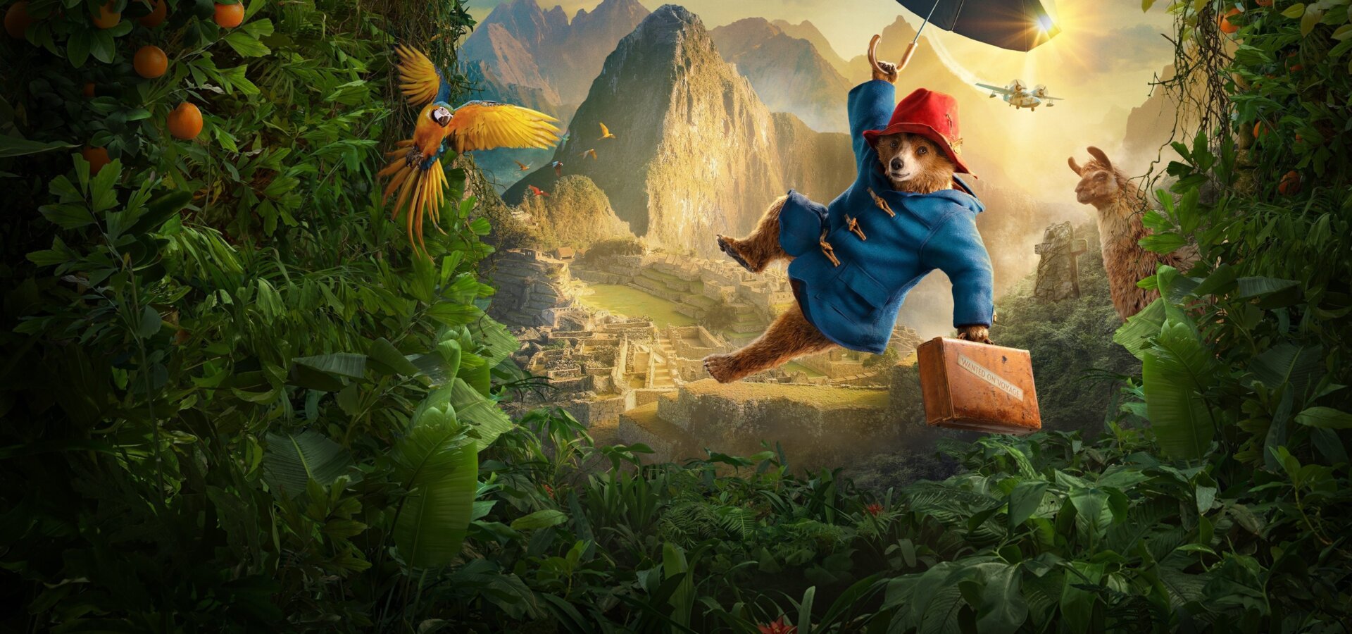 Paddington v džungli