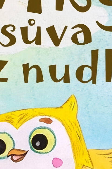 Viky, sůva z nudlí