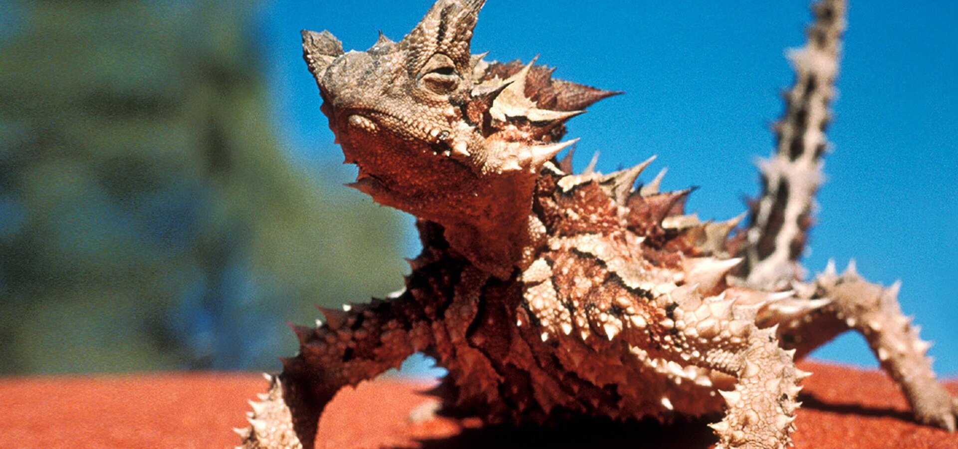 Austrálie z ptačí perspektivy