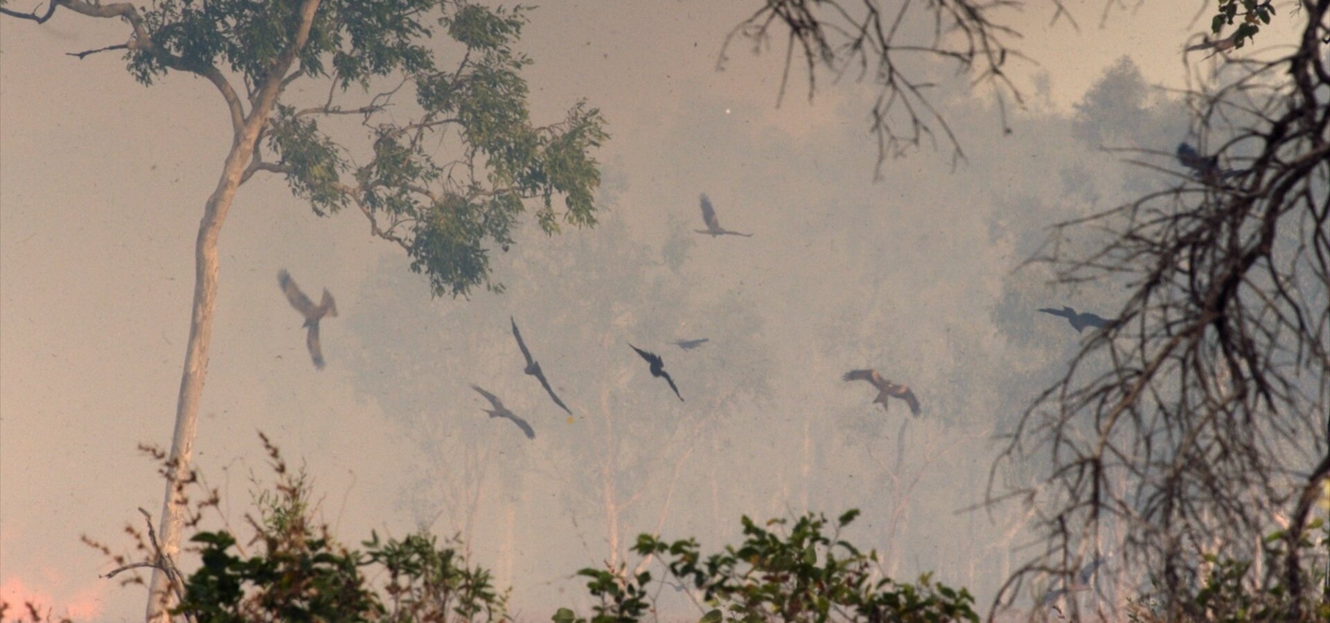 Bouřlivý rok na Zemi