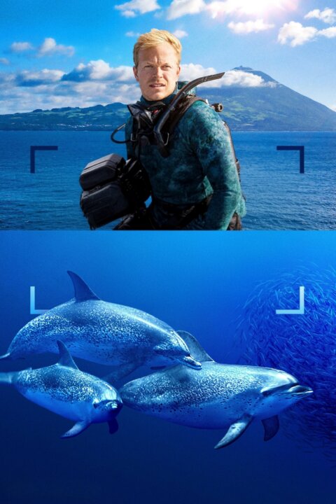 Delfíni zblízka s Bertiem Gregorym