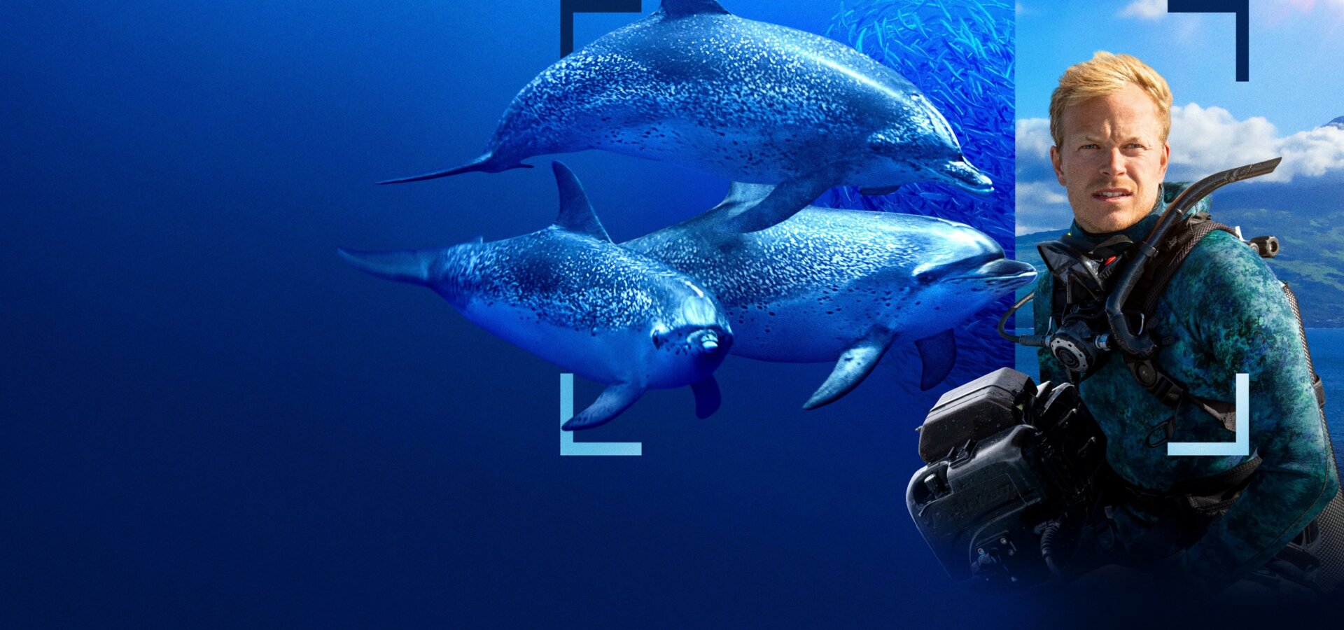 Delfíni zblízka s Bertiem Gregorym