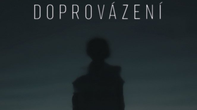 Doprovázení