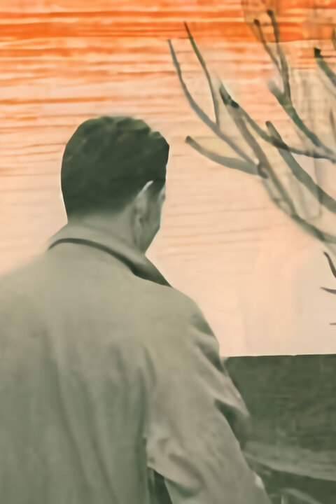Dům na Ořechovce