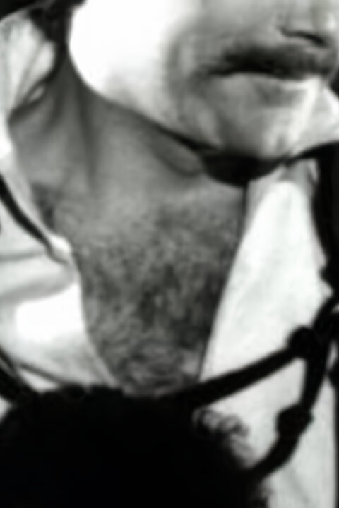Ežo Vlkolinský