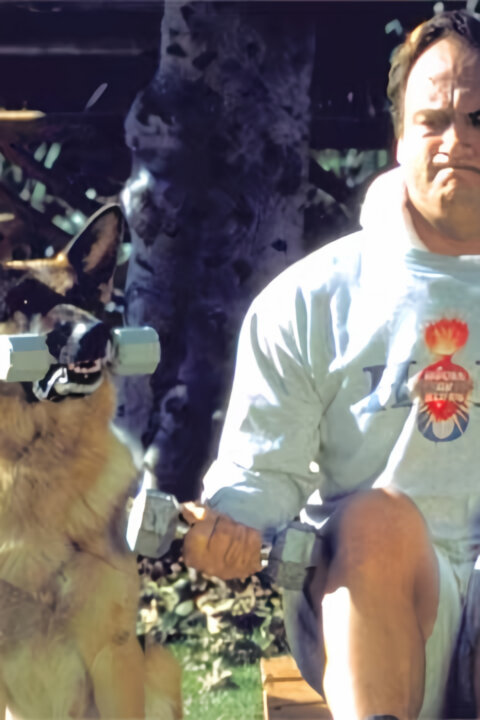 K-9 II: Můj přítel se studeným čumákem