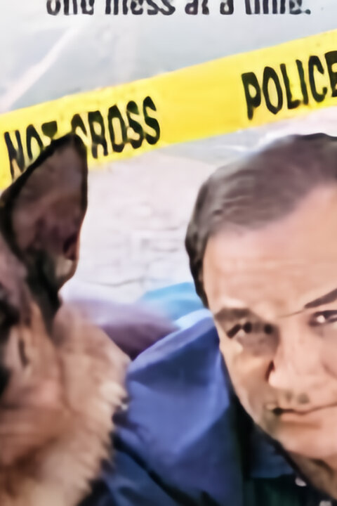 K-9: Soukromý detektiv