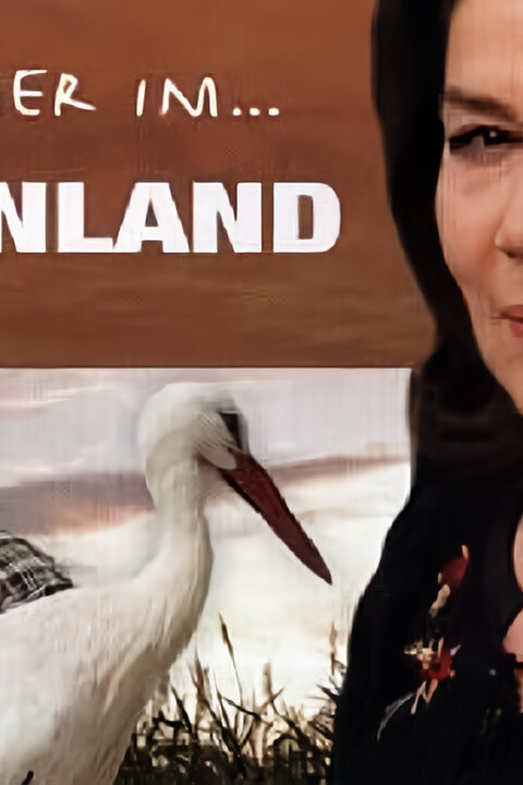 Léto v Burgenlandu