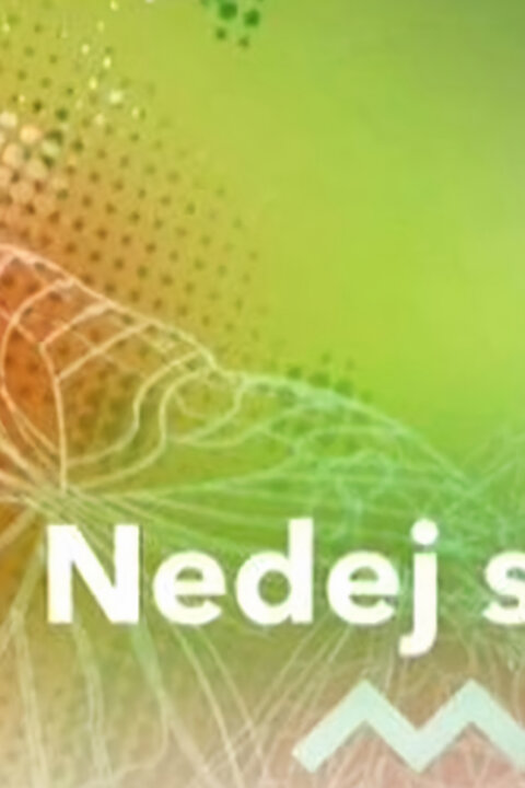 Nedej se