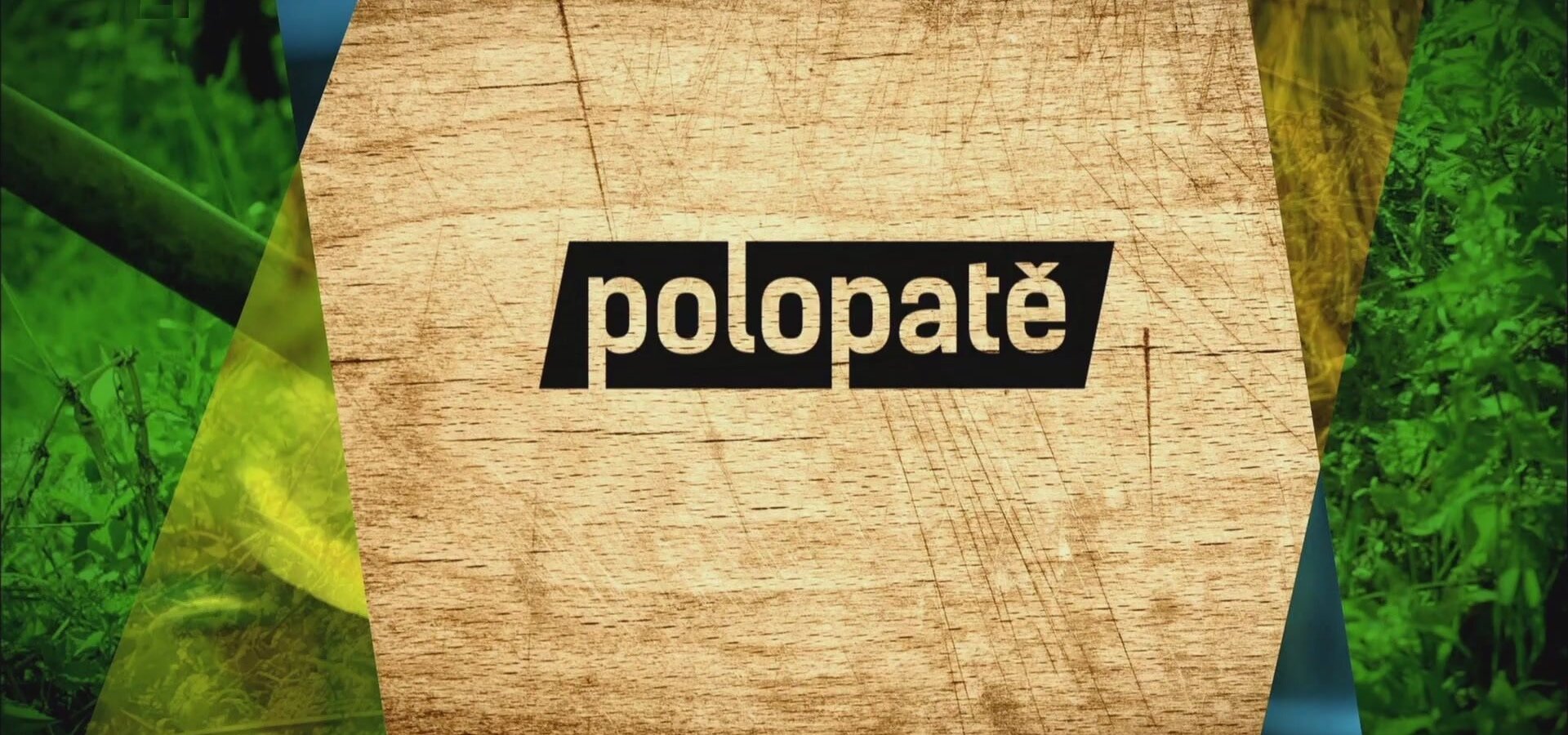 Polopatě