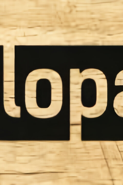 Polopatě