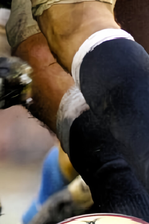 Premiership Rugby