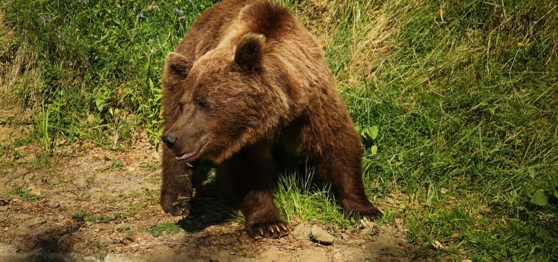 Rumunsko, půvab Balkánu