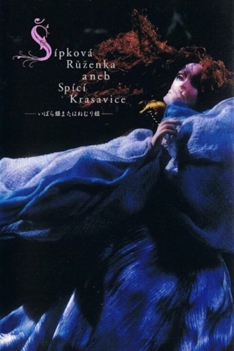 Šípková Růženka aneb Spící krasavice