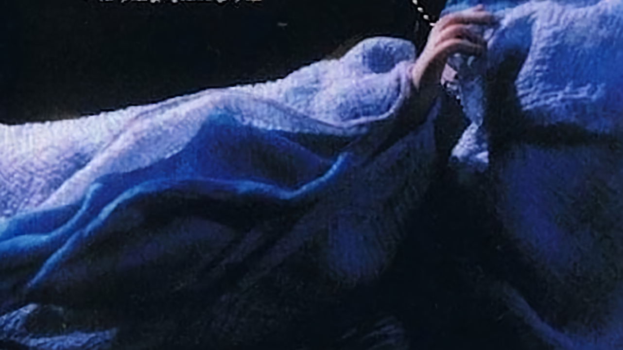 Šípková Růženka aneb Spící krasavice