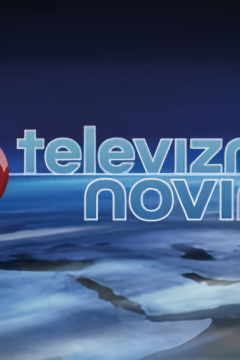 Televizní noviny
