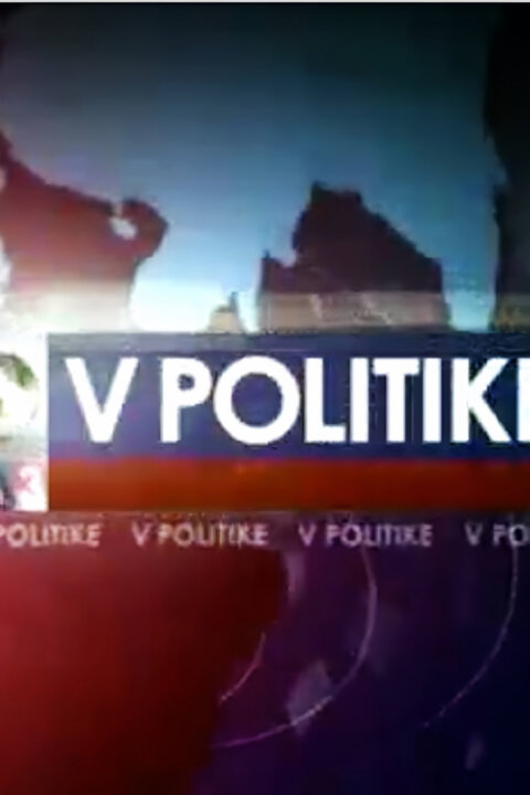 V politike