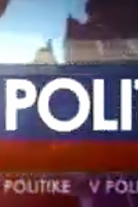 V politike