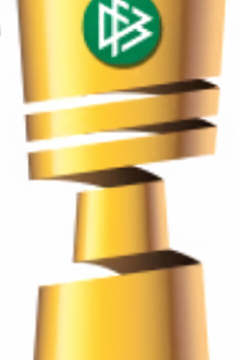 DFB fotbalový pohár