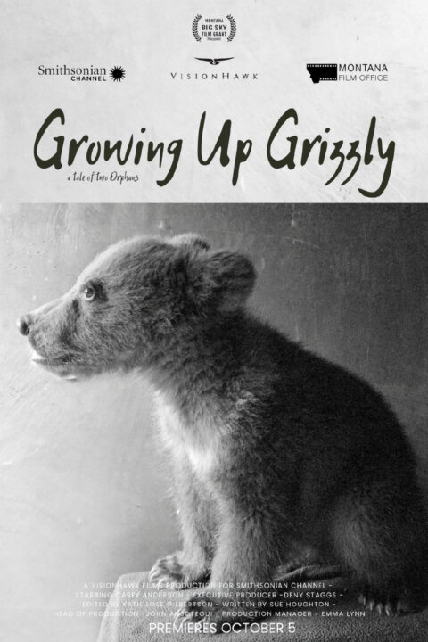 Dospívání grizzlyho: Příběh dvou sirotků