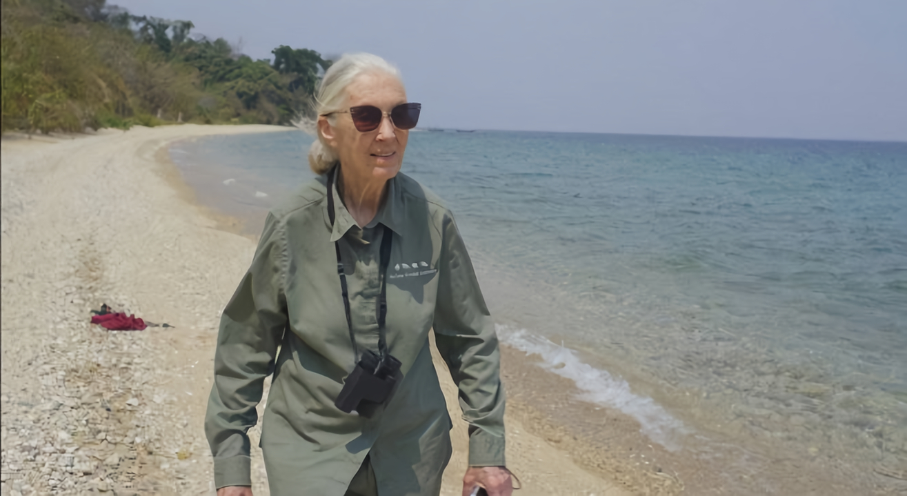 Jane Goodallová: Naděje