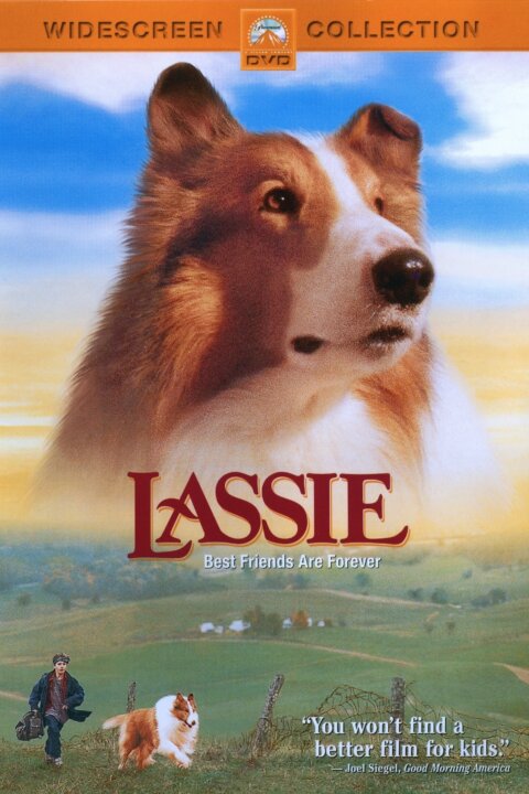 Lassie