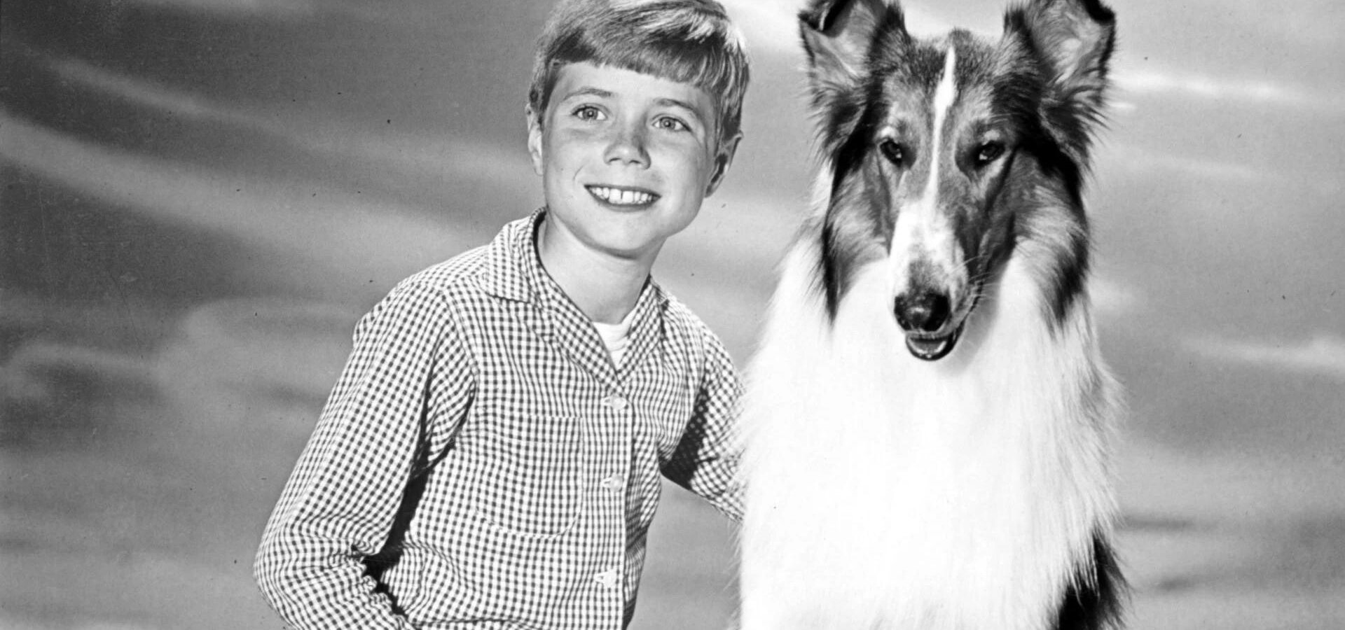 Lassie