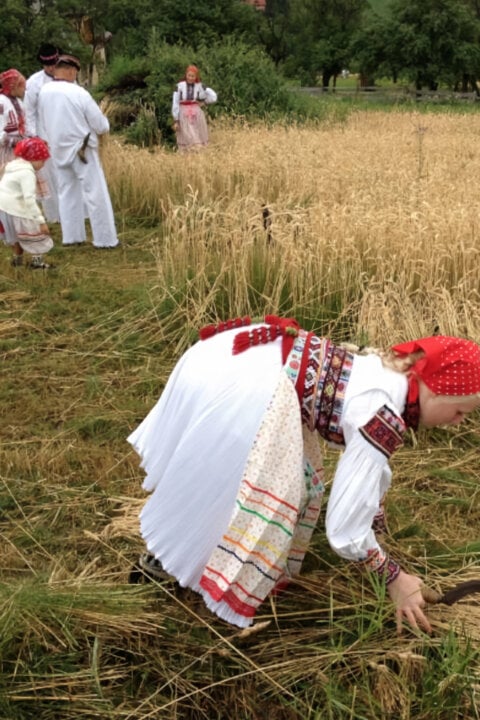 Naše tradice