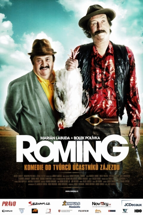ROMing