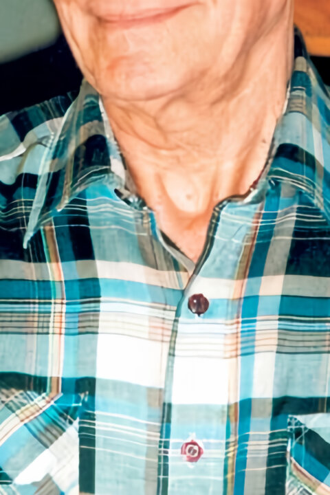 Sloni žijí do sta let