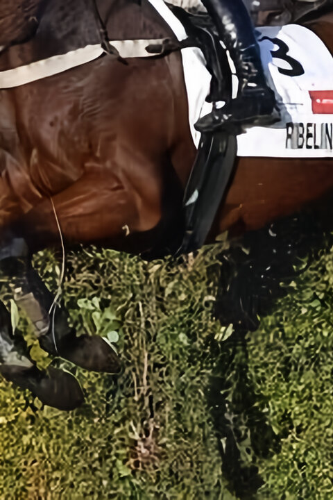 Velká pardubická