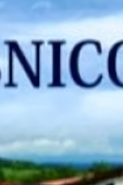 Vesnicopis