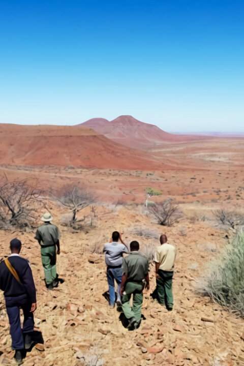 Zachraňte divočinu