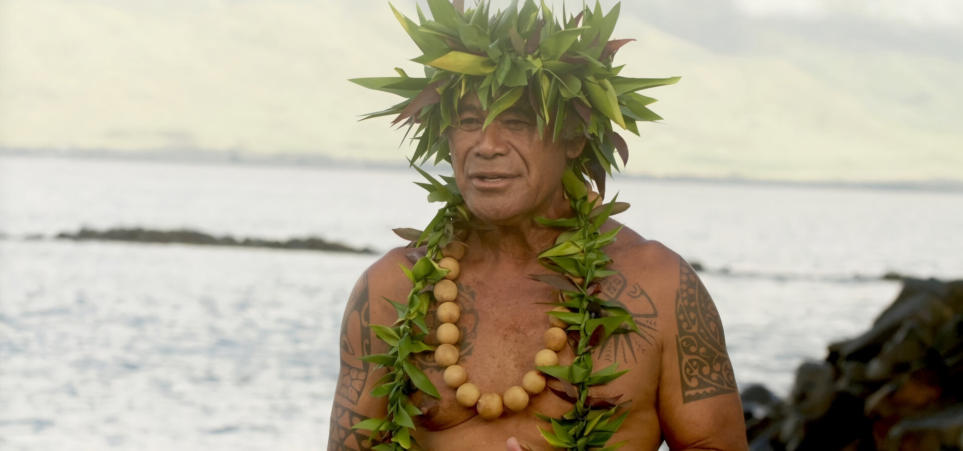 Akvárium – stinná stránka hobby