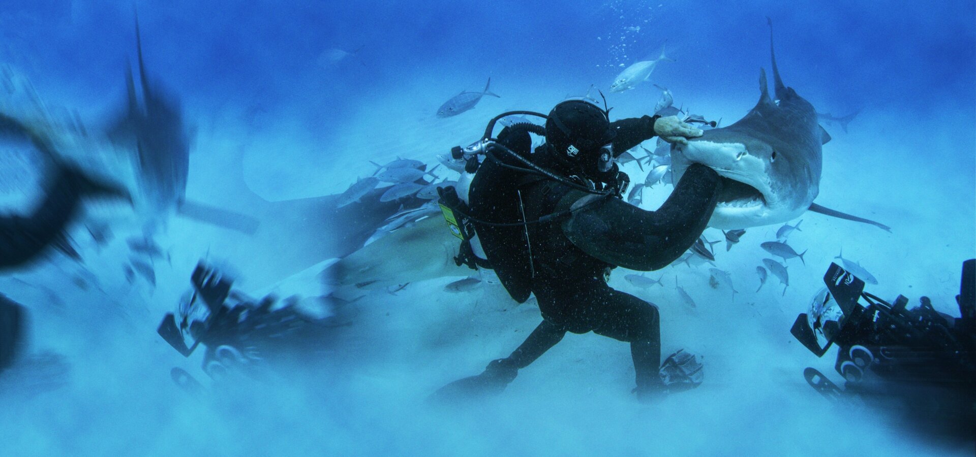 Člověk proti žralokům