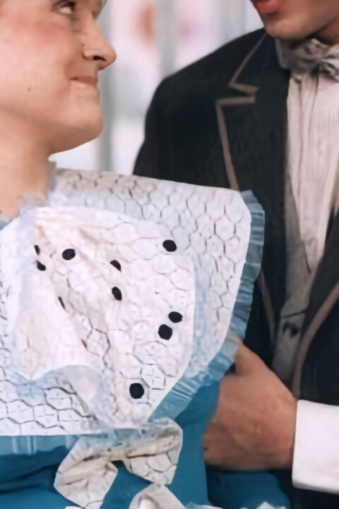 Co medvědi nevědí