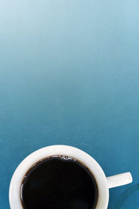 Gilmorova děvčata: Rok v životě