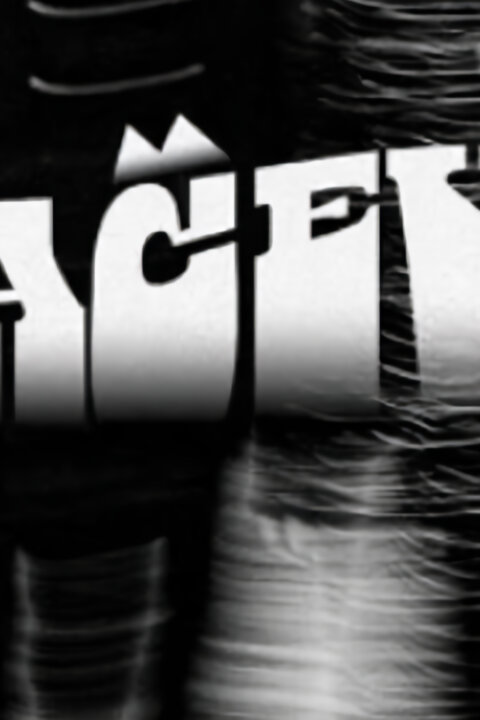 Monika Načeva Zdivočelí koně