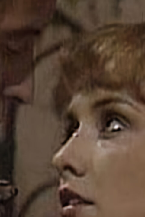 O Rozárce a zakletém králi