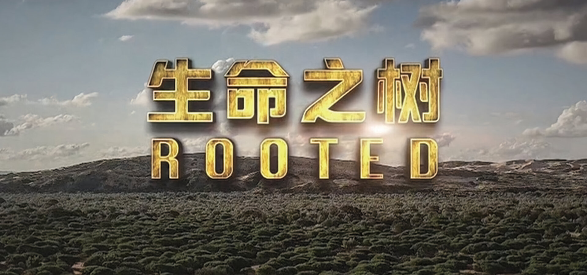 Příběh pěti stromů