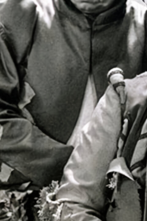 Princezná s jedným krídlom a jednou plutvou