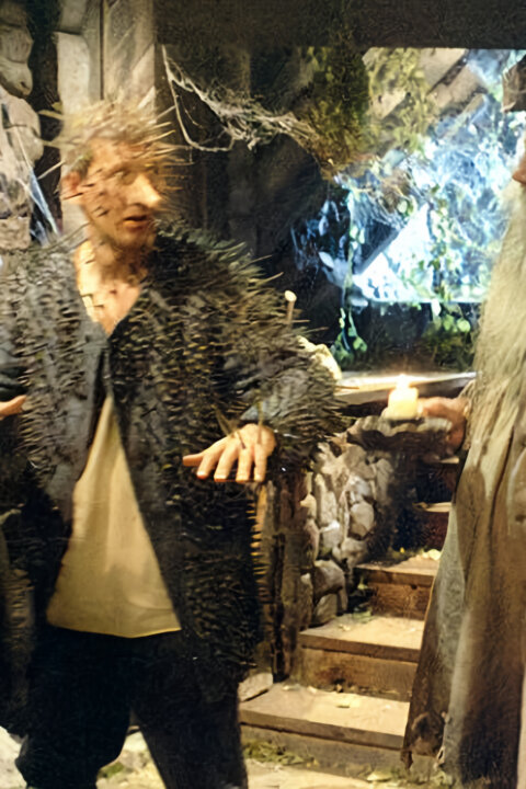 Princezná v ježovej koži