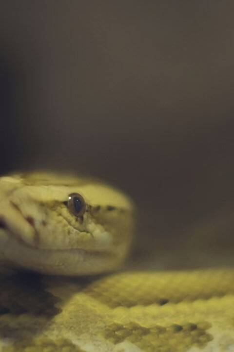 Příroda na kliknutí