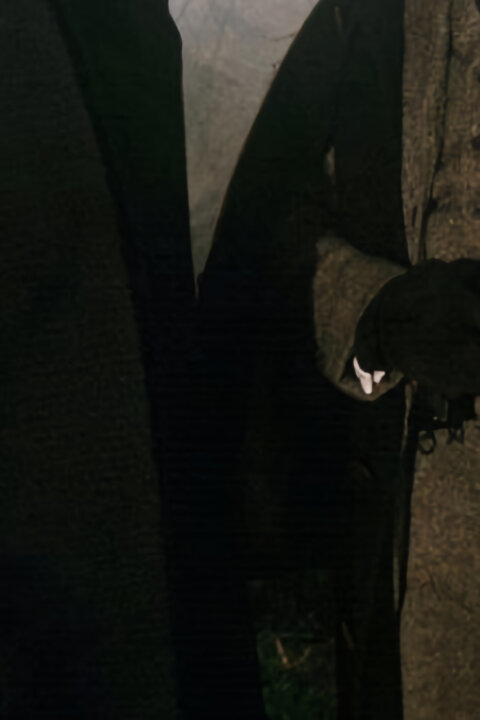 Sherlock Holmes: Pes Baskervillský