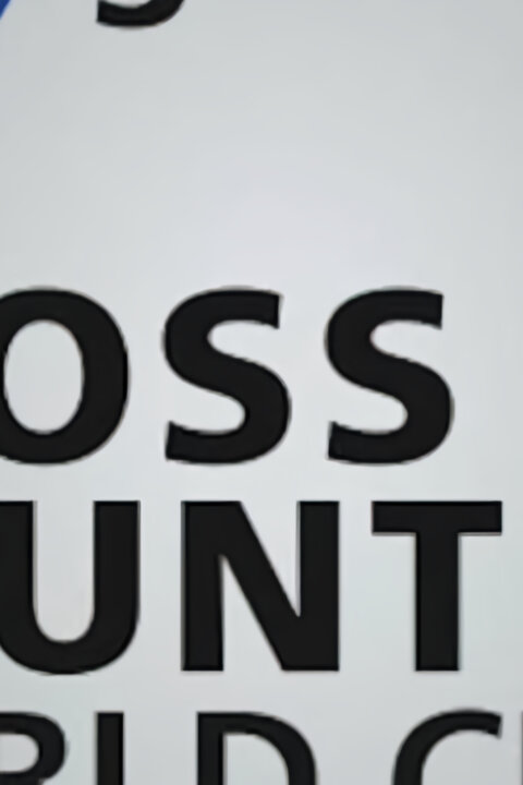 SP v běžeckém lyžování