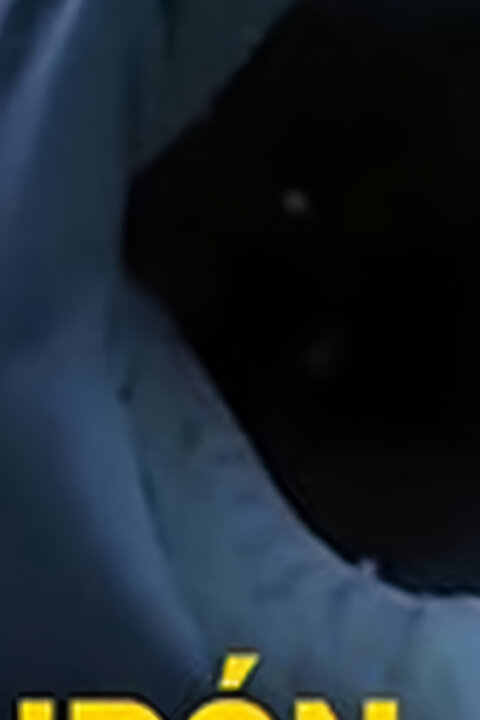 Žralok versus predátor