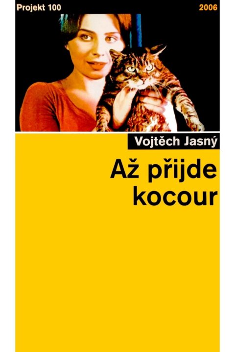 Až přijde kocour