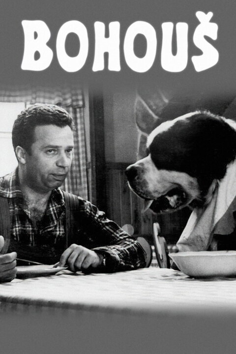 Bohouš