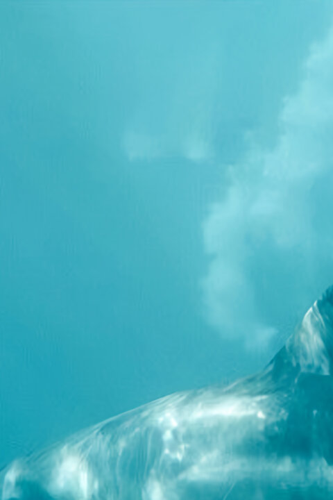 Delfíni v roli terapeutů